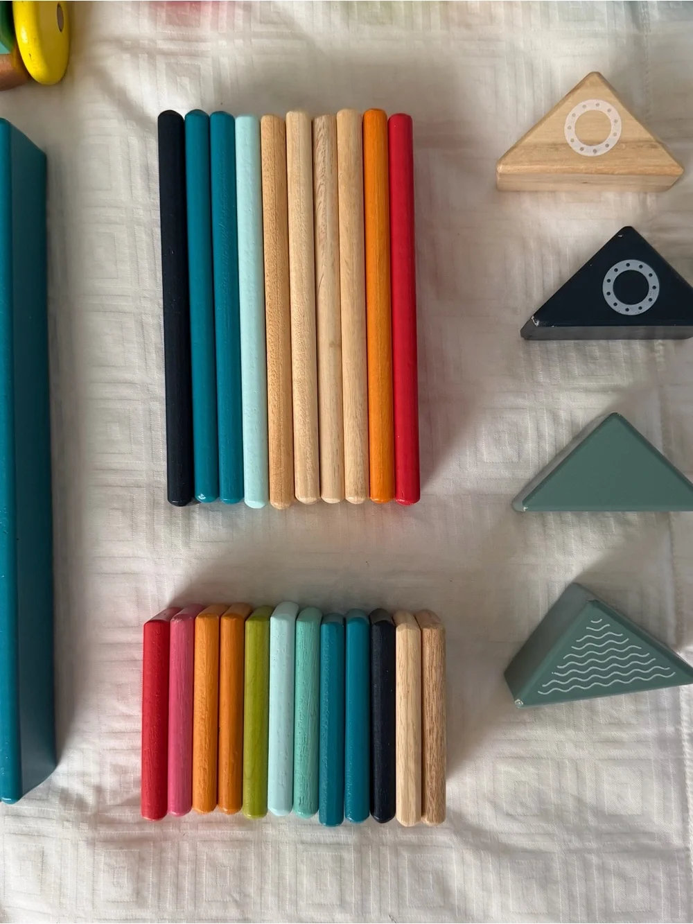 Tegu wooden magnet
